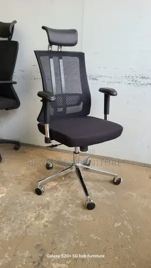 Imported Orthopedic Office Chair