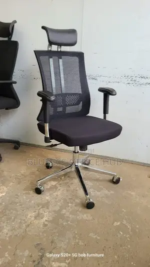 Imported Orthopedic Office Chair