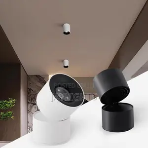Mini Luxury Spot Lighting Price Led Spot Light for Ceiling