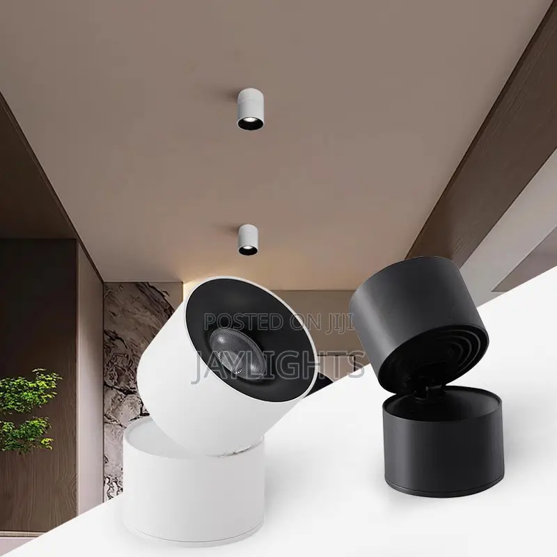 Mini Luxury Spot Lighting Price Led Spot Light for Ceiling
