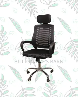 Orthopedic Secretarial Mesh Chair — Great For Study Or Work