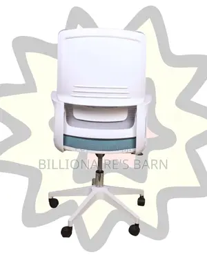 Orthopedic White Ergonomic Mesh Office Chair | Swivel Base