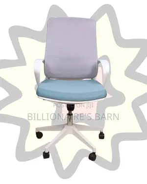 Orthopedic White Ergonomic Mesh Office Chair | Swivel Base