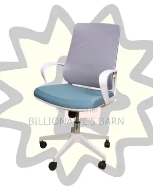 Orthopedic White Ergonomic Mesh Office Chair | Swivel Base
