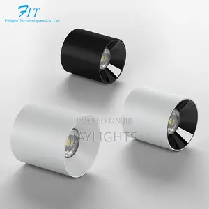 Commercial Indoor Surface Mount Round Down Light