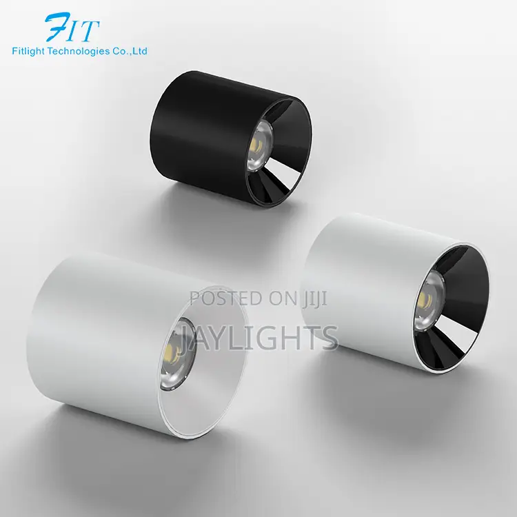 Commercial Indoor Surface Mount Round Down Light