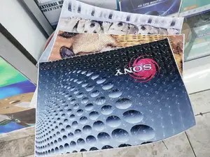 Universal Laptop Skin Sticker