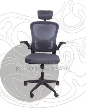 Pro-Grade Grey Ergonomic Office Chair | Padded Armrests