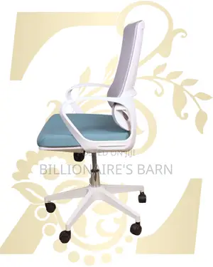 White Ergonomic Mesh Office Chair (Orthopedic) — Moving Fast