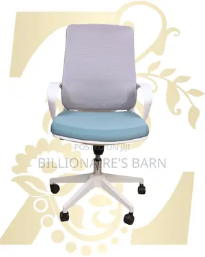 White Ergonomic Mesh Office Chair (Orthopedic) — Moving Fast