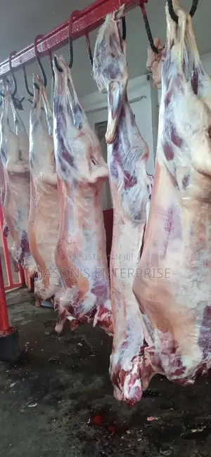 Fresh Goat Meat In Wholesale