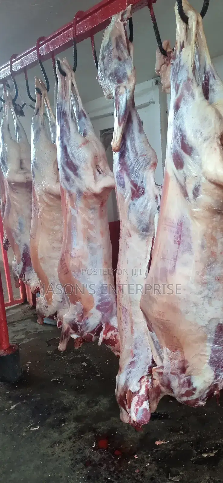Fresh Goat Meat In Wholesale