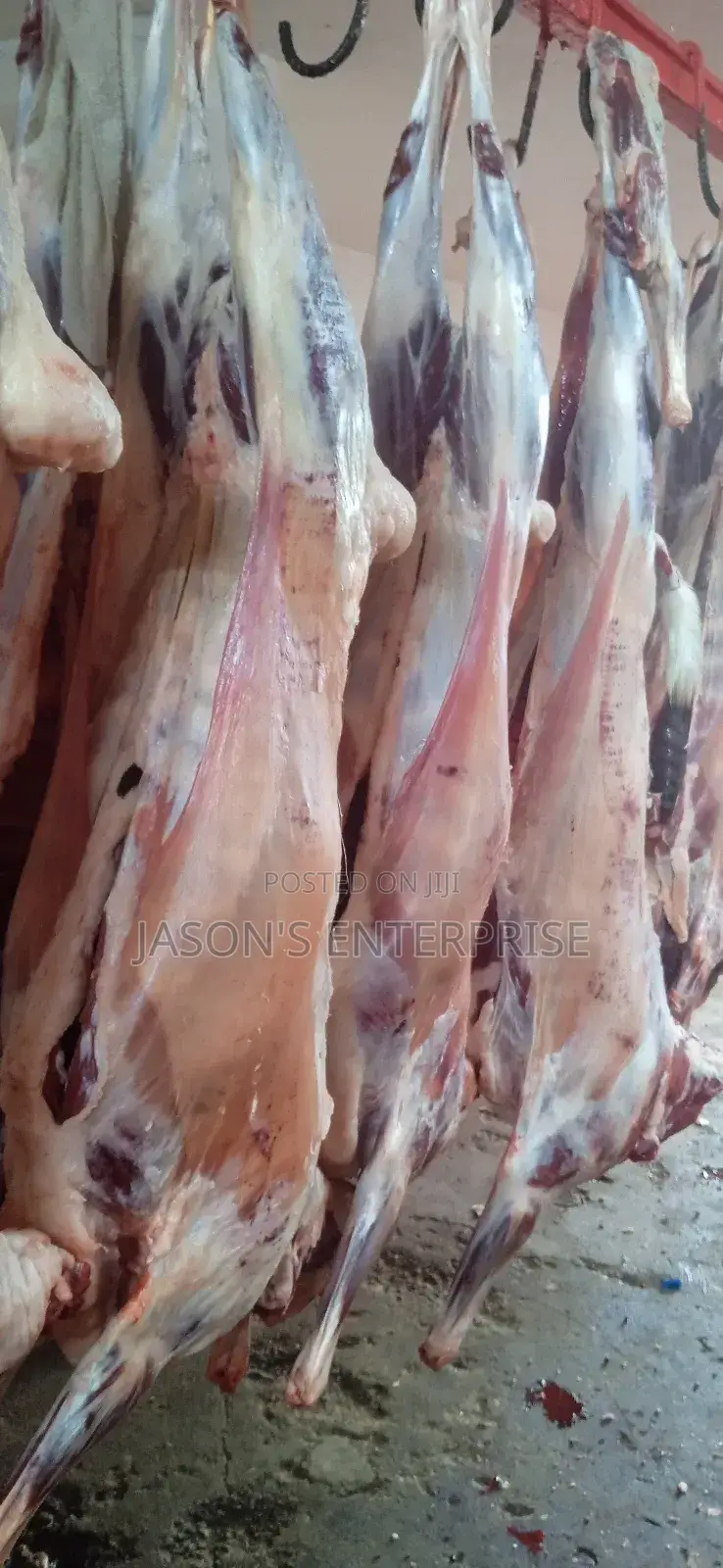 Fresh Goat Meat In Wholesale