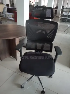 Reclining Executive Orthopedic Chair