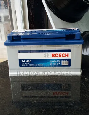 Bosch Din 100 (100ah)