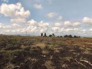 10 Acres Land for Sale