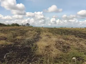 10 Acres Land for Sale