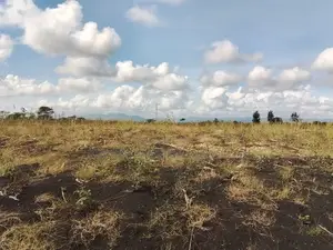 10 Acres Land for Sale
