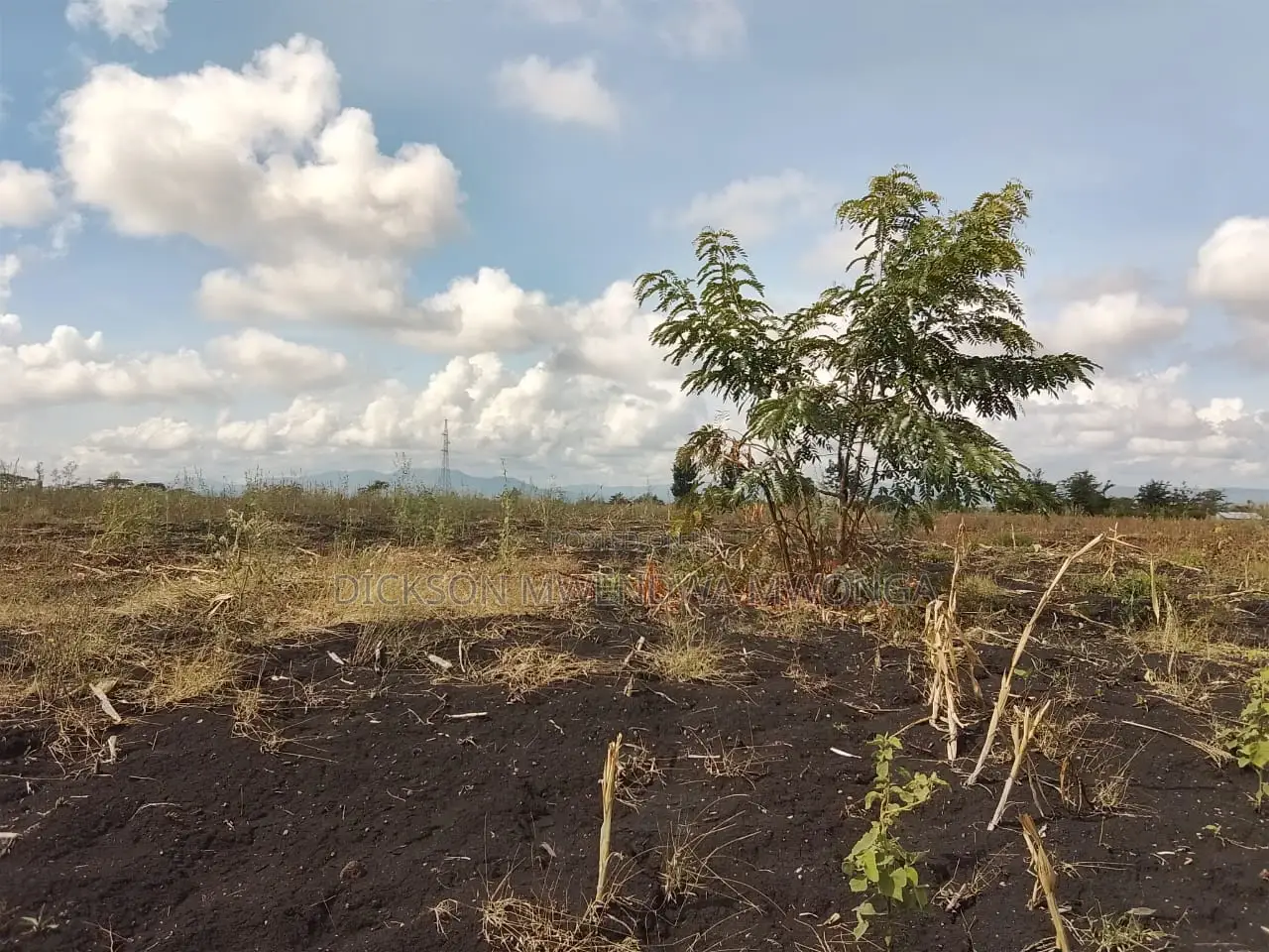 10 Acres Land for Sale