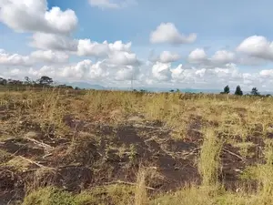 10 Acres Land for Sale