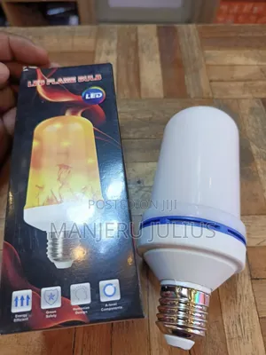 Led Frame Bulb