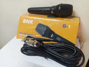 BNK B-1 Microphone - main view