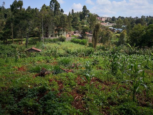 100x100 Plot in Kanyariri Kikuyu Kiambu County. - thumbnail 2