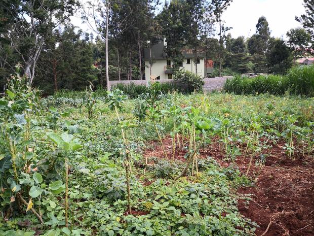 100x100 Plot in Kanyariri Kikuyu Kiambu County. - thumbnail 3