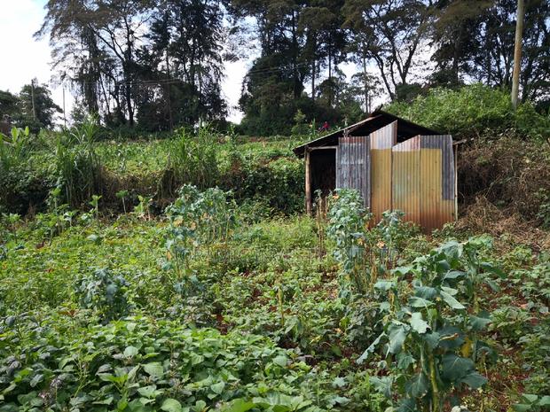 100x100 Plot in Kanyariri Kikuyu Kiambu County. - thumbnail 8