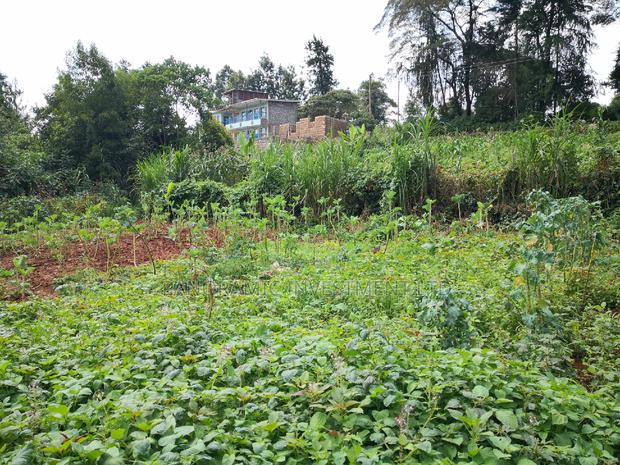 100x100 Plot in Kanyariri Kikuyu Kiambu County. - thumbnail 7