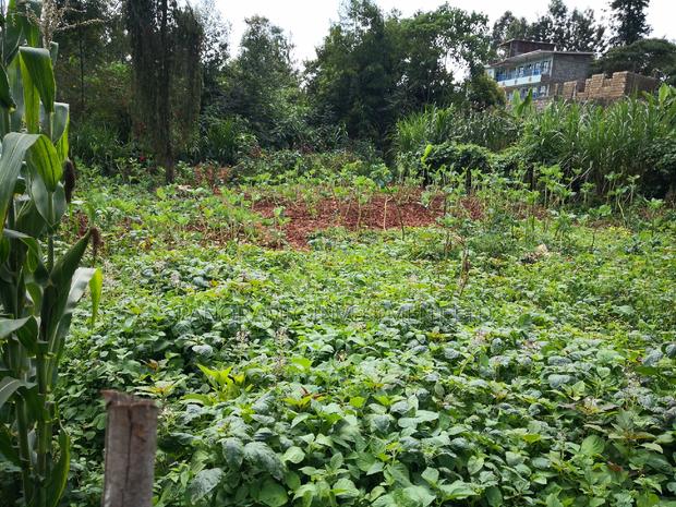 100x100 Plot in Kanyariri Kikuyu Kiambu County. - thumbnail 9