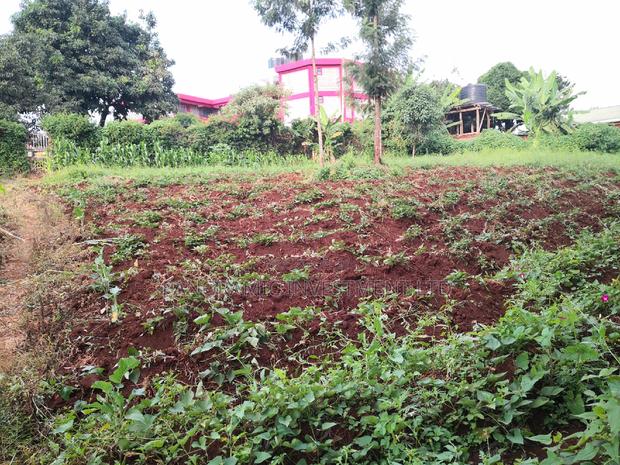 100x100 Plot in Kanyariri Kikuyu Kiambu County. - thumbnail 11