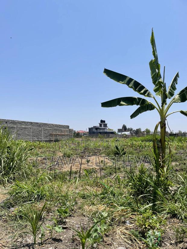 Land For Sale In Kamulu And Malaa