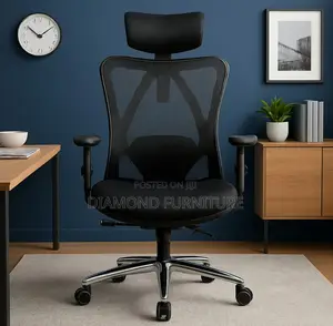 Orthopedic High Back Ergonomic Office Chair