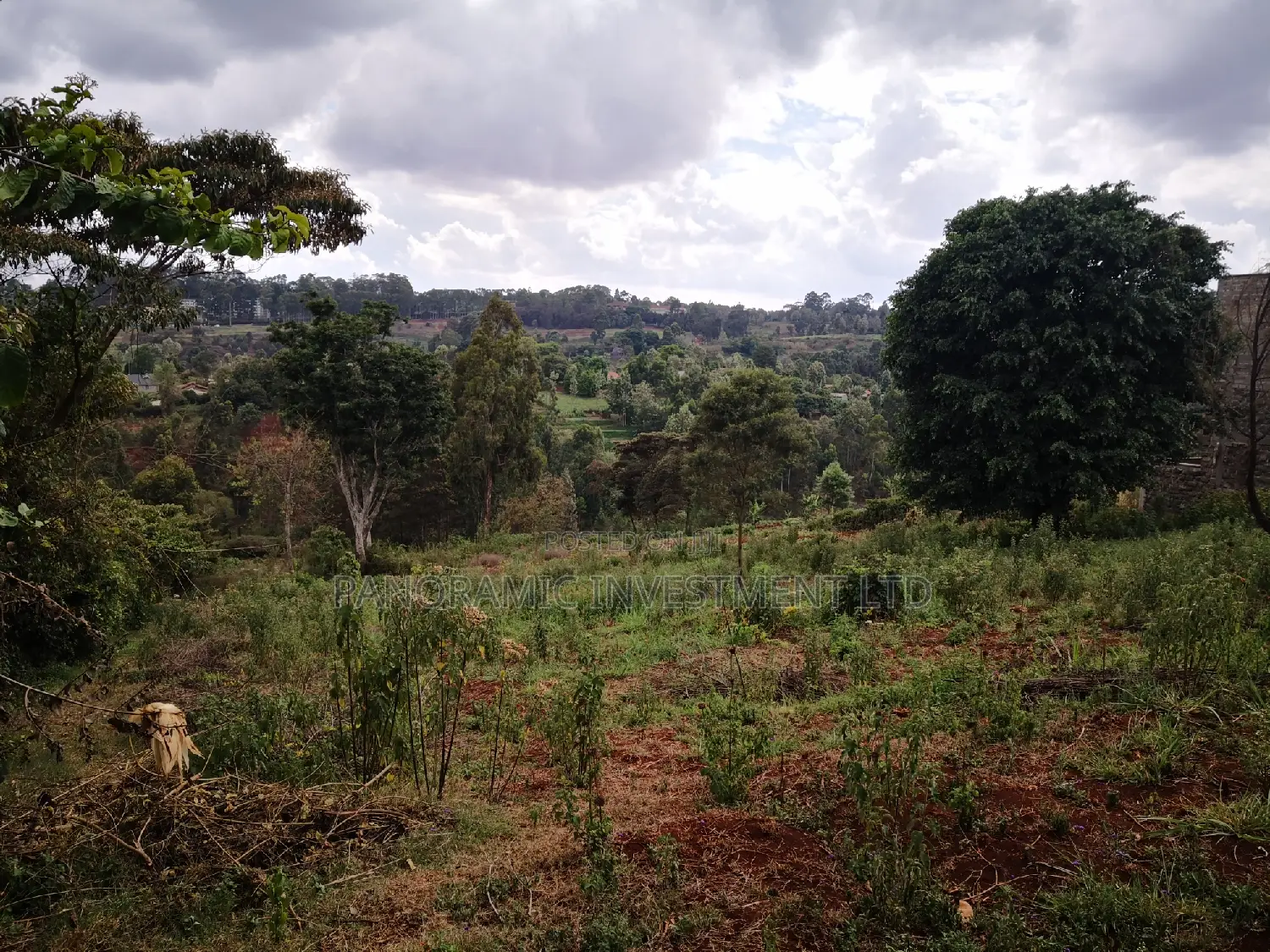 60x100 Plot in Muthiga Kihumo Kikuyu.
