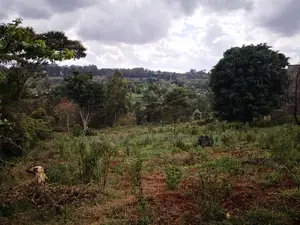 60x100 Plot in Muthiga Kihumo Kikuyu.