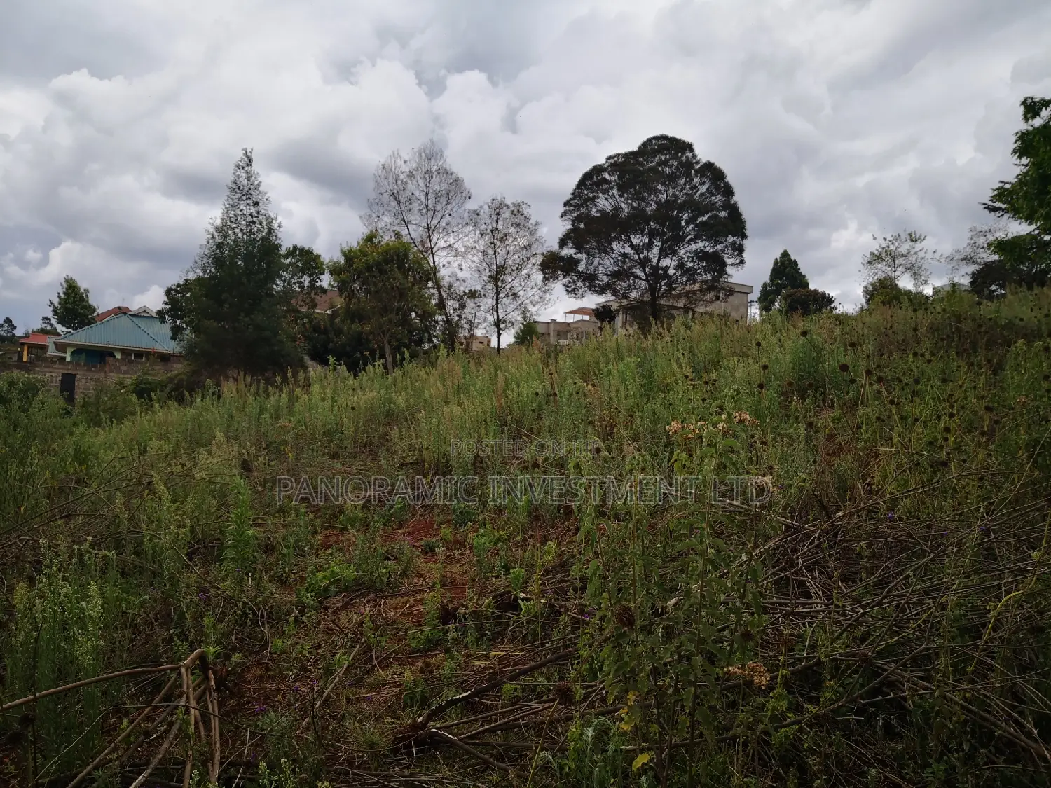 60x100 Plot in Muthiga Kihumo Kikuyu.