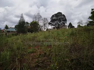 60x100 Plot in Muthiga Kihumo Kikuyu.