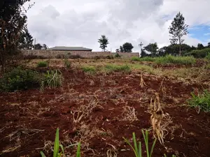 60x100 Plot in Muthiga Kihumo Kikuyu.