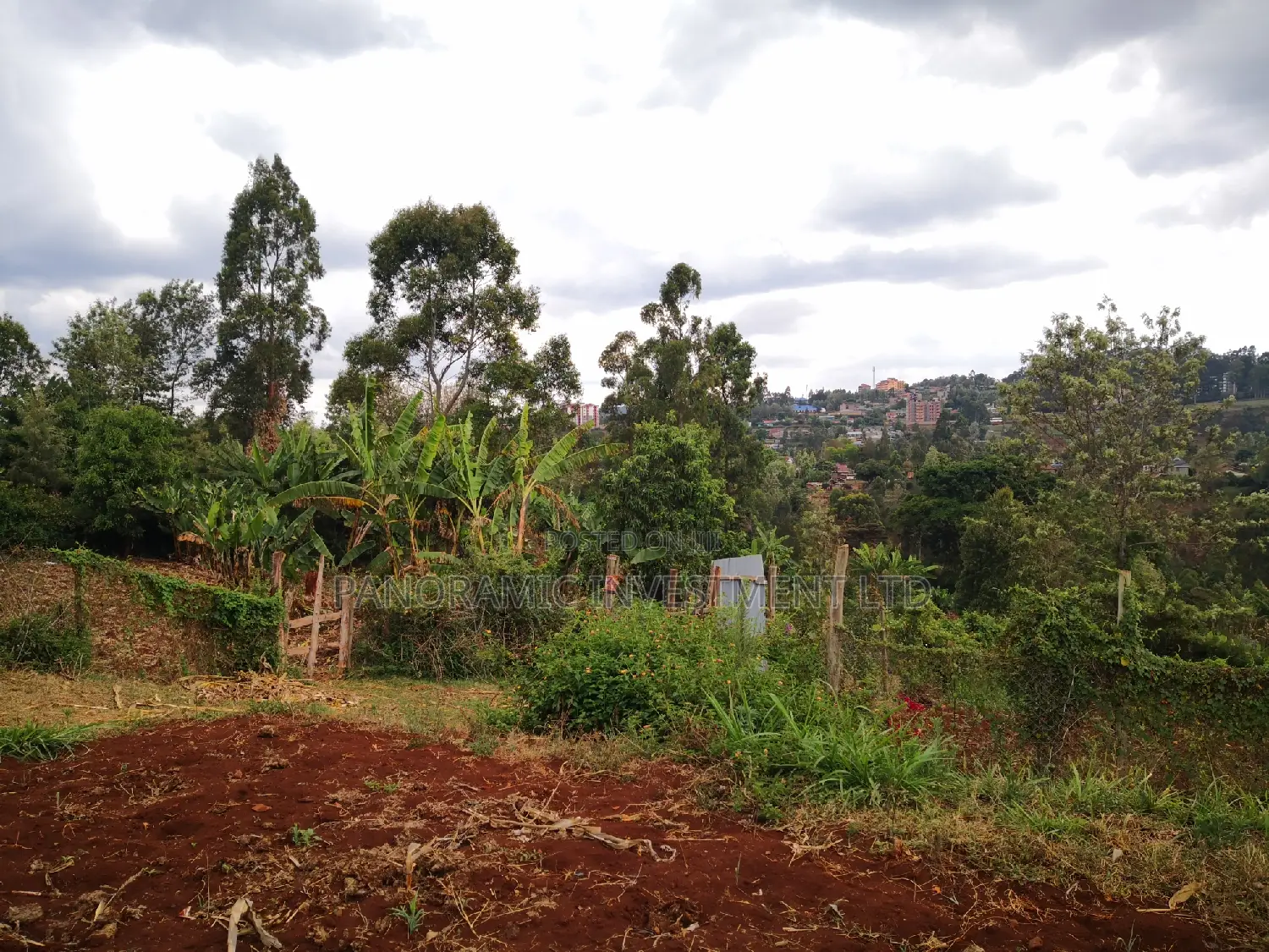 60x100 Plot in Muthiga Kihumo Kikuyu.