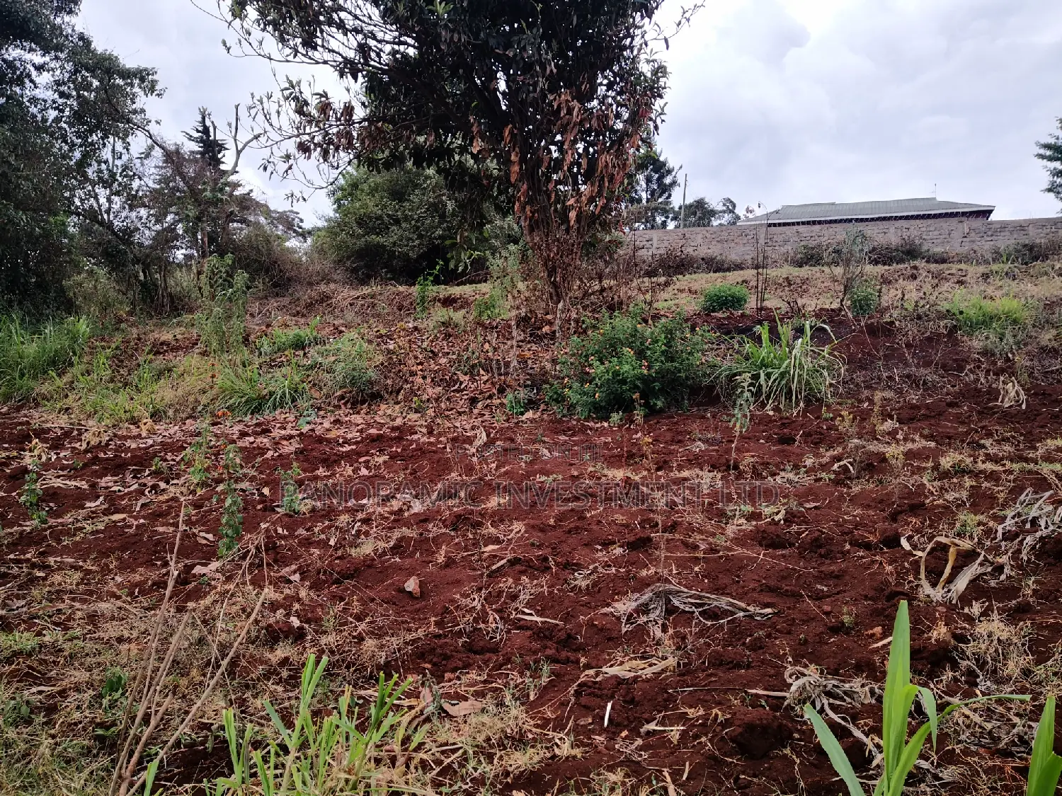 60x100 Plot in Muthiga Kihumo Kikuyu.
