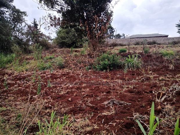 60x100 Plot in Muthiga Kihumo Kikuyu. - thumbnail 8