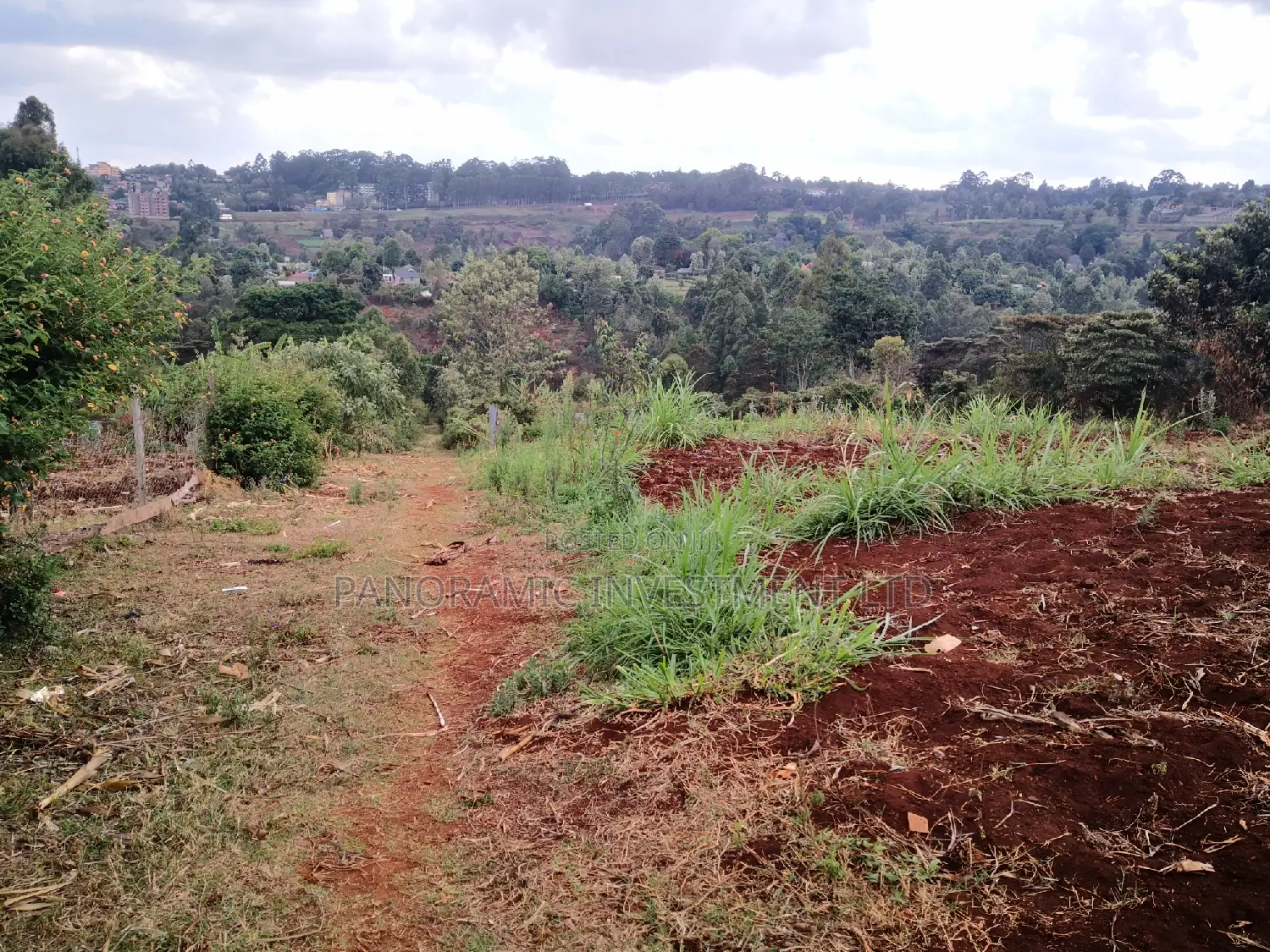 60x100 Plot in Muthiga Kihumo Kikuyu.