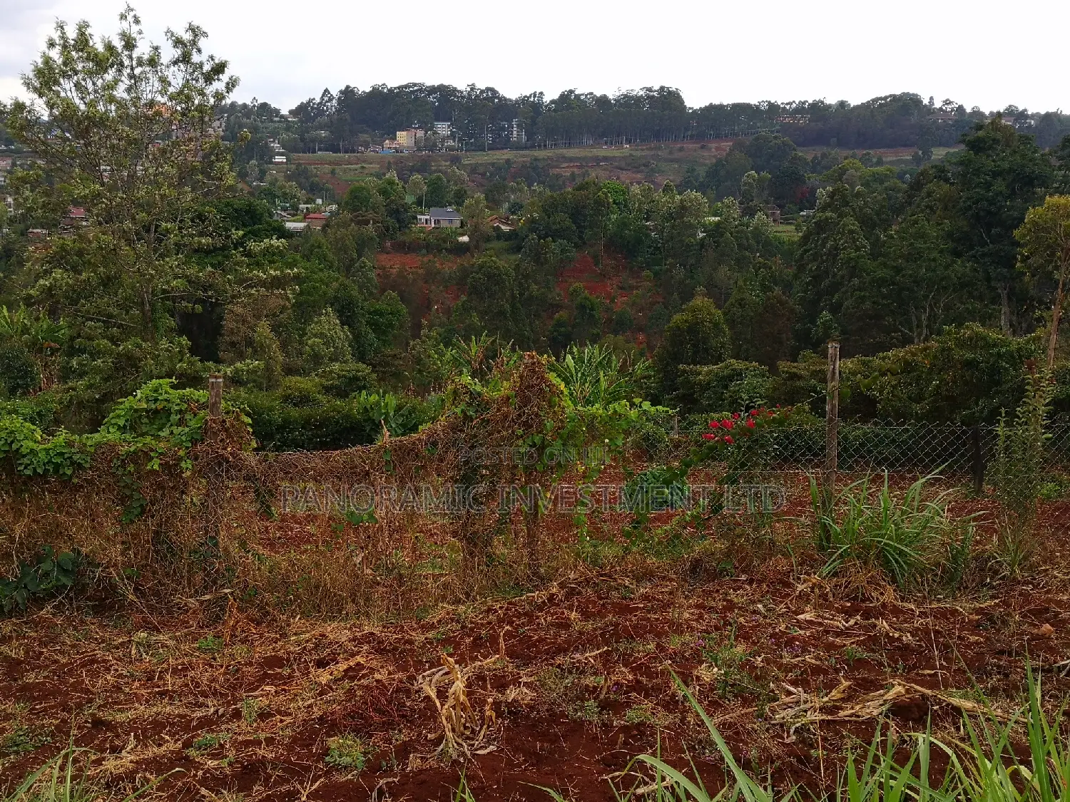 60x100 Plot in Muthiga Kihumo Kikuyu.