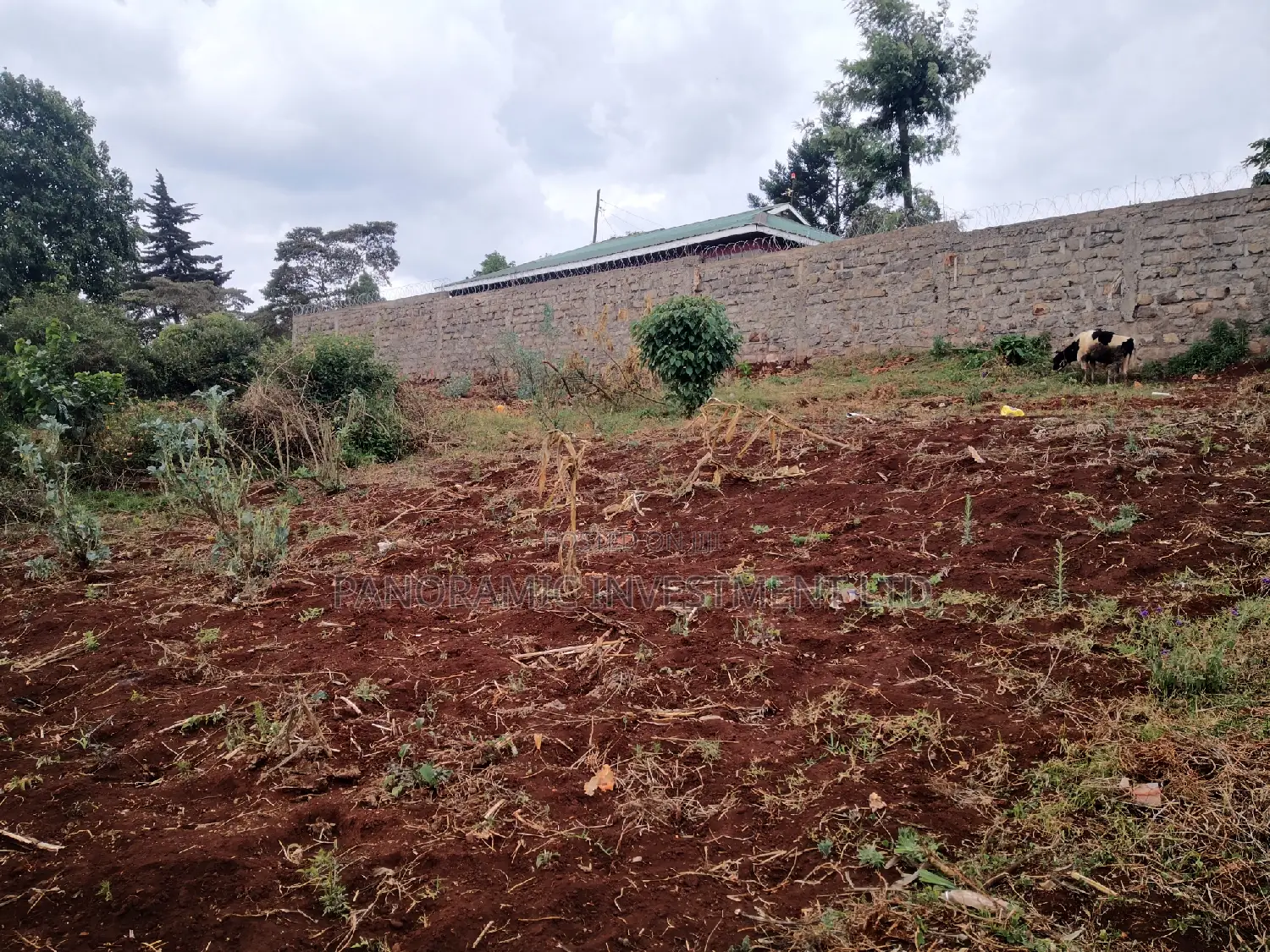 60x100 Plot in Muthiga Kihumo Kikuyu.