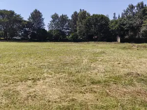 2.5 Acres of Land in New Kitsuru Nairobi County