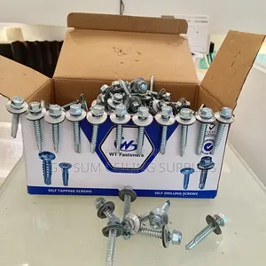 Self Drilling Screws 300 Pieces