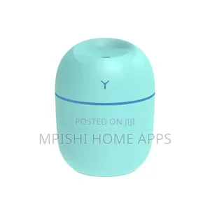 Mini Ultrasonic Humidifier 250ml
