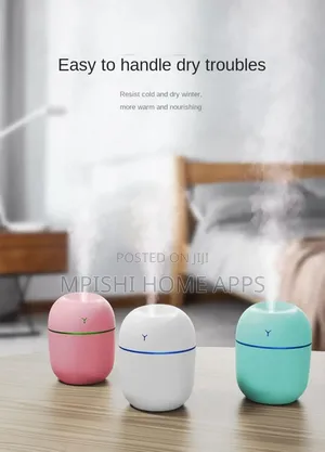 Mini Ultrasonic Humidifier 250ml