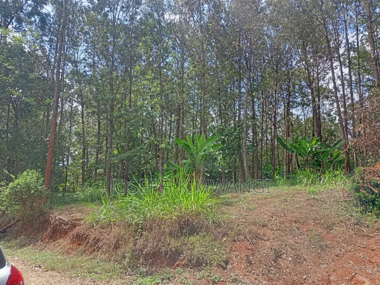 Meru 2.5 Acs Near Abothuguchi Sec Sch. Ideal for Coffee, Avocado,Damia